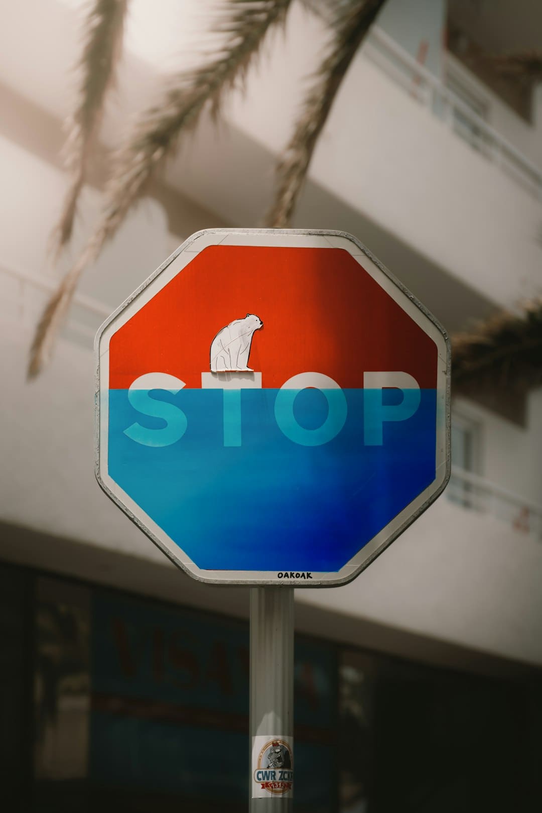 http://n.sinaimg.cn/news/transform/w600h400/20180314/zx1E-fysfzei9581472.jpg?zdy